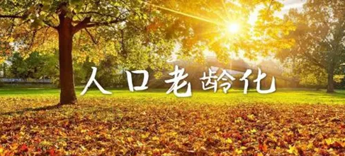 醫(yī)養(yǎng)康養(yǎng)課題研究：老齡化社會與銀色經(jīng)濟(jì)